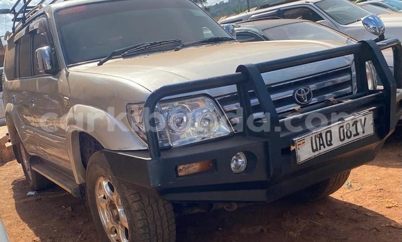 Acheter Occasion Voiture Toyota Prado Autre à Apac, Nord