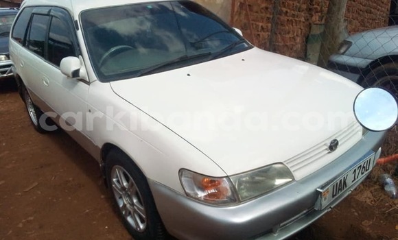 Buy Used Toyota Touring HiAce White Car in Arua in Uganda