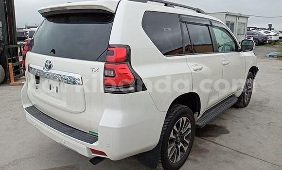 Nunua Imported Toyota Land Cruiser Prado Nyeupe Gari ndani ya Kampala nchini Uganda Nunua Imported Toyota Land Cruiser Prado Nyeupe Gari ndani ya Kampala nchini Uganda