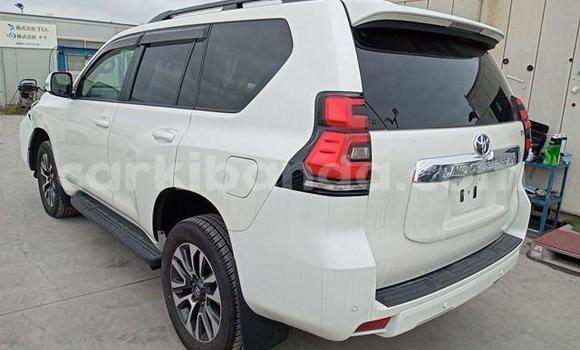 Nunua Imported Toyota Land Cruiser Prado Nyeupe Gari ndani ya Kampala nchini Uganda Nunua Imported Toyota Land Cruiser Prado Nyeupe Gari ndani ya Kampala nchini Uganda