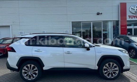 Gura Yakoze Toyota RAV4 Other Imodoka i Bundibugyo mu Western Gura Yakoze Toyota RAV4 Other Imodoka i Bundibugyo mu Western