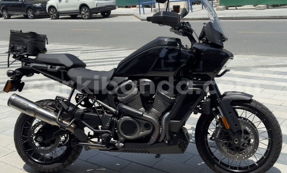 Buy Used Harley Davidson S Black Bike in Kampala in Uganda