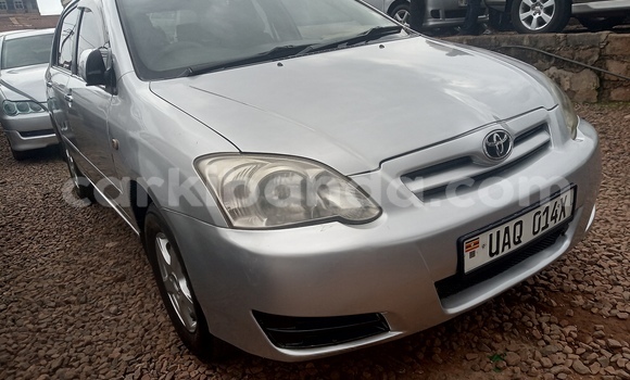 Buy Used Toyota Allex Silver Car in Kampala in Uganda Buy Used Toyota Allex Silver Car in Kampala in Uganda