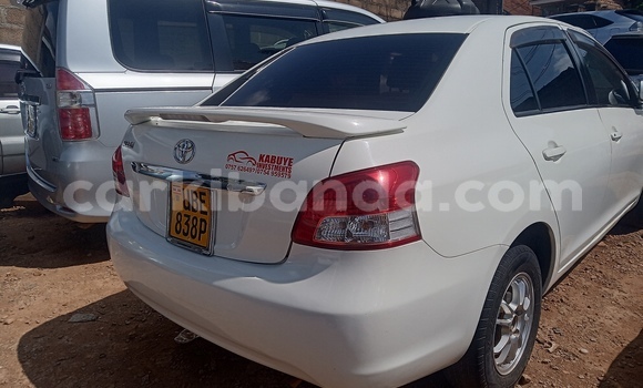 Buy Used Toyota Belta White Car in Kampala in Uganda Buy Used Toyota Belta White Car in Kampala in Uganda