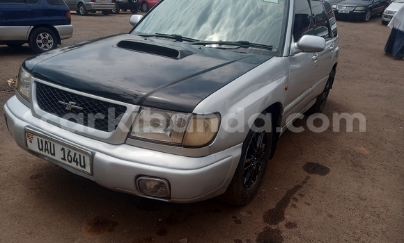 Gura Yakoze Subaru Forester Silver Imodoka i Kampala mu Uganda Gura Yakoze Subaru Forester Silver Imodoka i Kampala mu Uganda