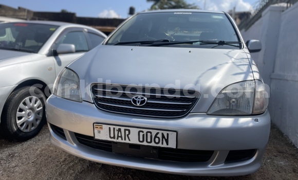 Buy Used Toyota Nadia Silver Car in Kampala in Uganda