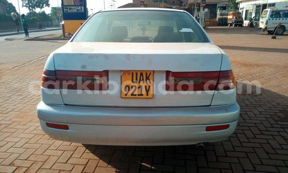 Buy Used Toyota Premio White Car in Kampala in Uganda Buy Used Toyota Premio White Car in Kampala in Uganda