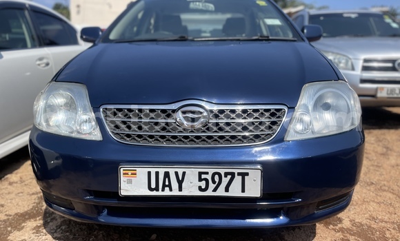Acheter Occasion Voiture Toyota Corolla Bleu à Kampala, Ouganda