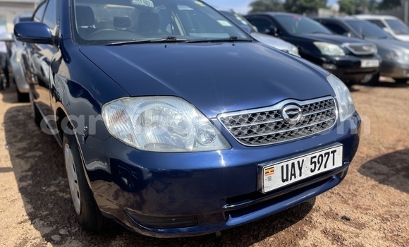 Acheter Occasion Voiture Toyota Corolla Bleu à Kampala, Ouganda Acheter Occasion Voiture Toyota Corolla Bleu à Kampala, Ouganda