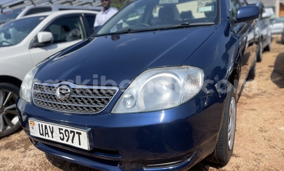 Acheter Occasion Voiture Toyota Corolla Bleu à Kampala, Ouganda Acheter Occasion Voiture Toyota Corolla Bleu à Kampala, Ouganda