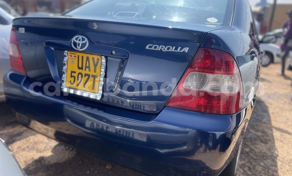 Acheter Occasion Voiture Toyota Corolla Bleu à Kampala, Ouganda Acheter Occasion Voiture Toyota Corolla Bleu à Kampala, Ouganda