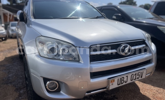 Buy Used Toyota RAV4 Silver Car in Kampala in Uganda Buy Used Toyota RAV4 Silver Car in Kampala in Uganda