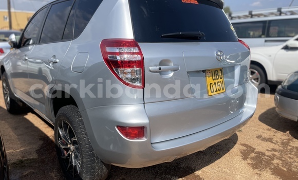 Buy Used Toyota RAV4 Silver Car in Kampala in Uganda Buy Used Toyota RAV4 Silver Car in Kampala in Uganda