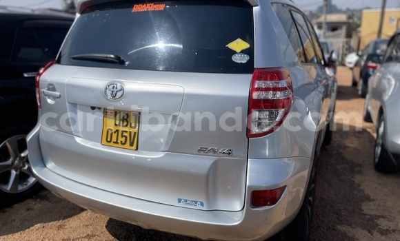 Buy Used Toyota RAV4 Silver Car in Kampala in Uganda Buy Used Toyota RAV4 Silver Car in Kampala in Uganda