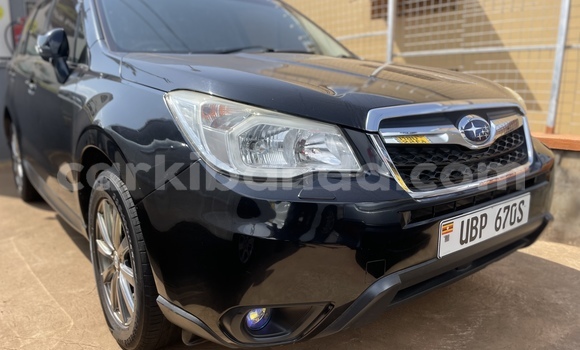 Buy Used Subaru Forester Other Car in Kampala in Uganda