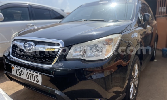 Acheter Occasion Voiture Subaru Forester Autre à Kampala, Ouganda Acheter Occasion Voiture Subaru Forester Autre à Kampala, Ouganda