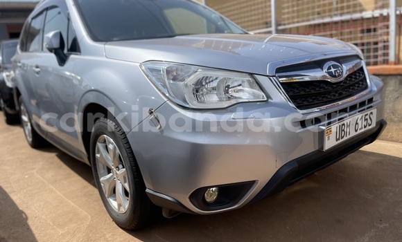 Acheter Occasion Voiture Subaru Forester Gris à Kampala, Ouganda Acheter Occasion Voiture Subaru Forester Gris à Kampala, Ouganda