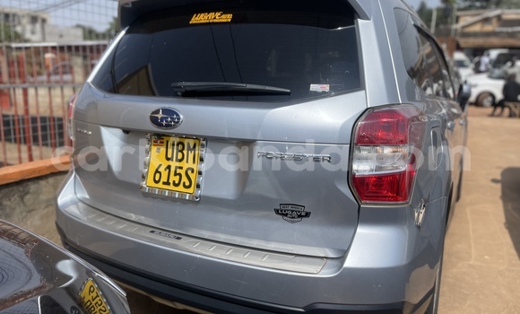 Acheter Occasion Voiture Subaru Forester Gris à Kampala, Ouganda Acheter Occasion Voiture Subaru Forester Gris à Kampala, Ouganda
