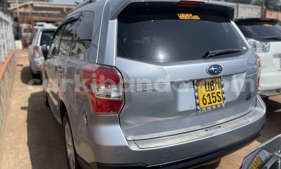 Acheter Occasion Voiture Subaru Forester Gris à Kampala, Ouganda Acheter Occasion Voiture Subaru Forester Gris à Kampala, Ouganda