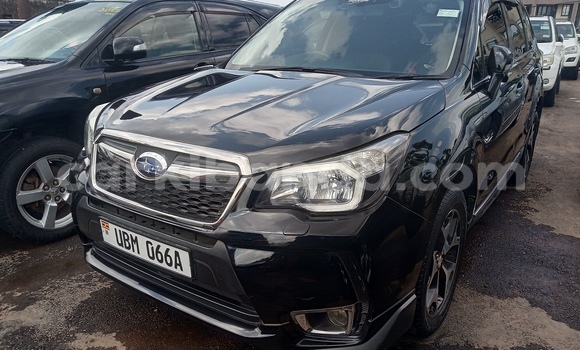 Buy Used Subaru Forester Black Car in Kampala in Uganda Buy Used Subaru Forester Black Car in Kampala in Uganda