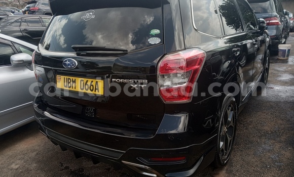 Buy Used Subaru Forester Black Car in Kampala in Uganda Buy Used Subaru Forester Black Car in Kampala in Uganda