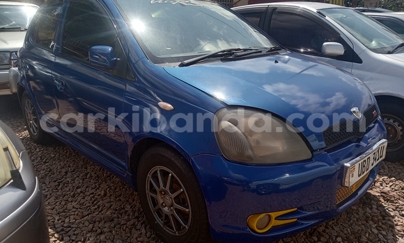 Buy New Toyota Vitz Blue Car in Kampala in Uganda Buy New Toyota Vitz Blue Car in Kampala in Uganda