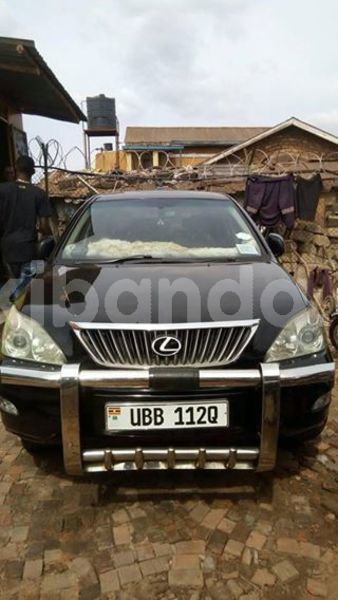 Big with watermark 46184602 1930726380315617 8911647240406171648 n