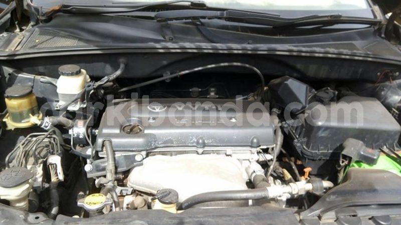 Big with watermark 46384960 10215822020417582 3570141128999043072 n