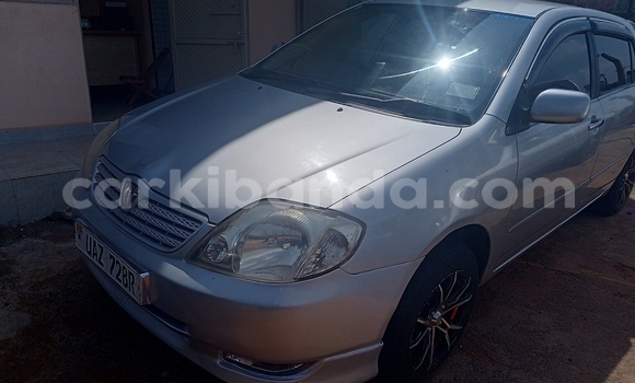 Buy Used Toyota Allex Silver Car in Kampala in Uganda Buy Used Toyota Allex Silver Car in Kampala in Uganda