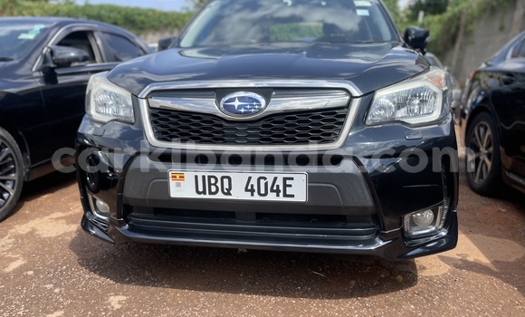 Nunua Ilio tumika Subaru Forester Bluu Gari ndani ya Kampala nchini Uganda