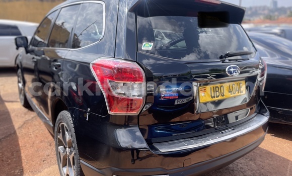 Acheter Occasion Voiture Subaru Forester Bleu à Kampala, Ouganda Acheter Occasion Voiture Subaru Forester Bleu à Kampala, Ouganda