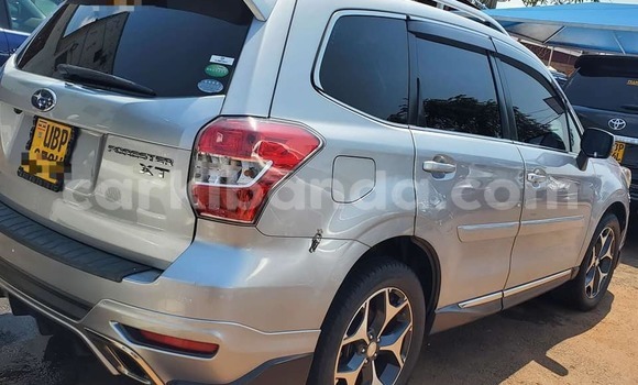 Gura Yakoze Subaru Forester Other Imodoka i Bugiri mu Eastern Gura Yakoze Subaru Forester Other Imodoka i Bugiri mu Eastern