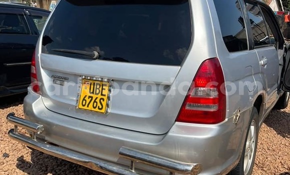 Acheter Occasion Voiture Subaru Ascent Autre à Amudat, Nord