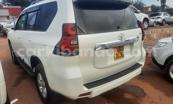 Buy Used Toyota Prado Other Car in Arua in Uganda Buy Used Toyota Prado Other Car in Arua in Uganda