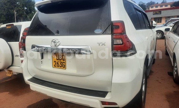 Buy Used Toyota Prado Other Car in Arua in Uganda Buy Used Toyota Prado Other Car in Arua in Uganda