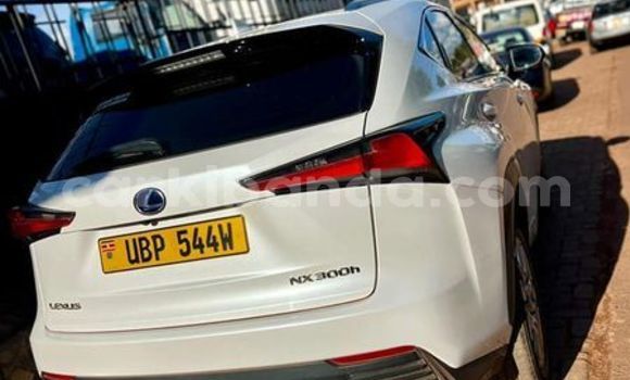 Acheter Occasion Voiture Lexus NX Autre à Kampala, Ouganda Acheter Occasion Voiture Lexus NX Autre à Kampala, Ouganda