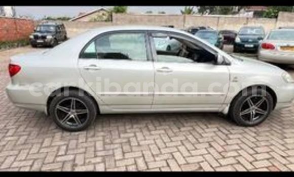 Nunua Ilio tumika Toyota Corolla Nyingine Gari ndani ya Kampala nchini Uganda Nunua Ilio tumika Toyota Corolla Nyingine Gari ndani ya Kampala nchini Uganda