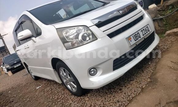 Acheter Occasion Voiture Toyota Noah Blanc à Kampala, Ouganda Acheter Occasion Voiture Toyota Noah Blanc à Kampala, Ouganda