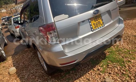 Acheter Occasion Voiture Subaru Forester Marron à Kampala, Ouganda Acheter Occasion Voiture Subaru Forester Marron à Kampala, Ouganda