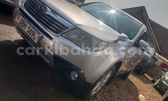 Acheter Occasion Voiture Subaru Forester Marron à Kampala, Ouganda Acheter Occasion Voiture Subaru Forester Marron à Kampala, Ouganda