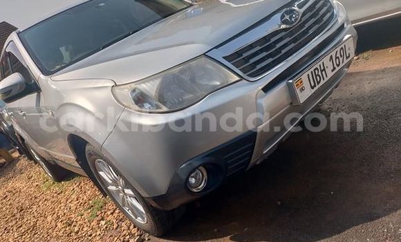 Acheter Occasion Voiture Subaru Forester Marron à Kampala, Ouganda Acheter Occasion Voiture Subaru Forester Marron à Kampala, Ouganda
