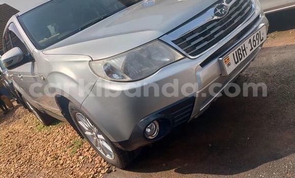 Acheter Occasion Voiture Subaru Forester Marron à Kampala, Ouganda Acheter Occasion Voiture Subaru Forester Marron à Kampala, Ouganda