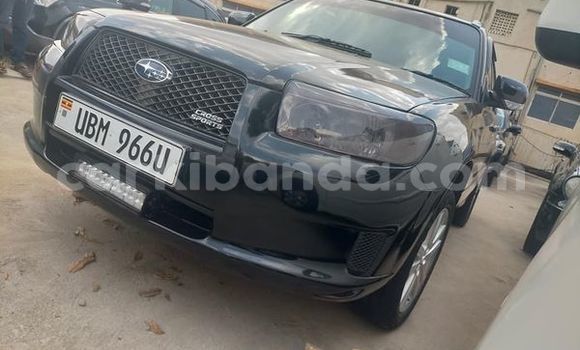 Acheter Occasion Voiture Subaru Forester Noir à Kampala, Ouganda Acheter Occasion Voiture Subaru Forester Noir à Kampala, Ouganda