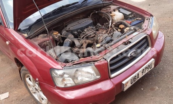Buy Used Subaru Forester Other Car in Kampala in Uganda