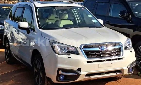 Acheter Occasion Voiture Subaru Forester Blanc à Bombo, Central Acheter Occasion Voiture Subaru Forester Blanc à Bombo, Central