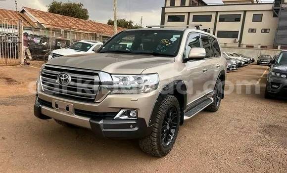 Acheter Occasion Voiture Toyota Land Cruiser Autre à Bugembe, Est Acheter Occasion Voiture Toyota Land Cruiser Autre à Bugembe, Est