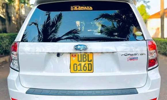 Acheter Occasion Voiture Subaru XT Blanc à Bombo, Central Acheter Occasion Voiture Subaru XT Blanc à Bombo, Central
