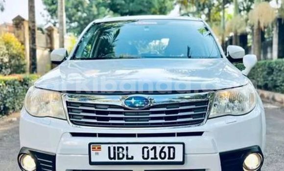 Acheter Occasion Voiture Subaru XT Blanc à Bombo, Central Acheter Occasion Voiture Subaru XT Blanc à Bombo, Central