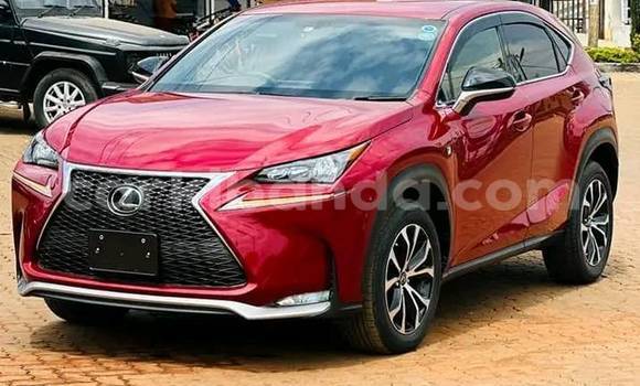 Acheter Occasion Voiture Lexus NX Rouge à Bugembe, Est Acheter Occasion Voiture Lexus NX Rouge à Bugembe, Est