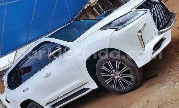 Buy Used Lexus LX 570 White Car in Bombo in Central